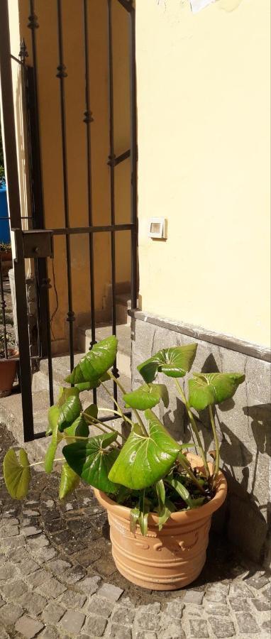 Pompei Vesevus Apartament Boscotrecase Exteriör bild